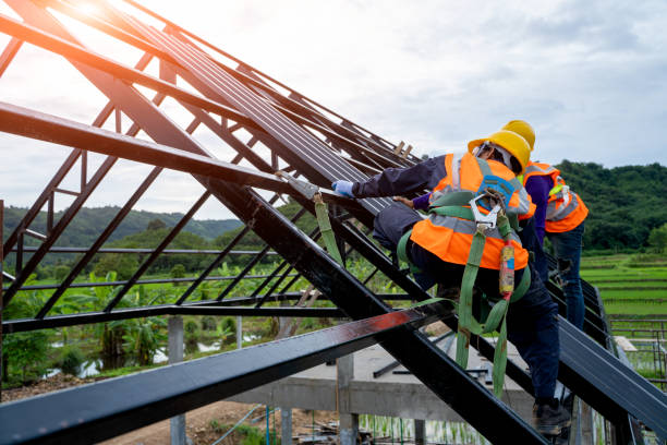 Best Local Roofing Companies  in Hohenwald, TN