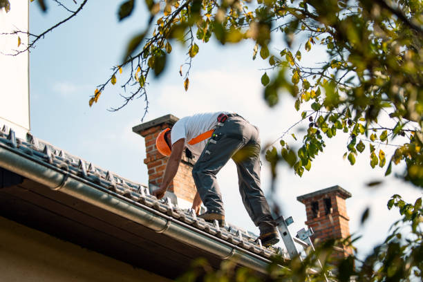 Best Gutter Installation and Roofing  in Hohenwald, TN