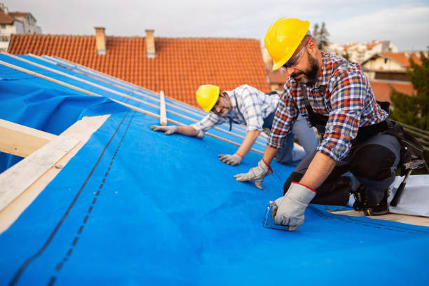 Best Best Roofing Contractors  in Hohenwald, TN
