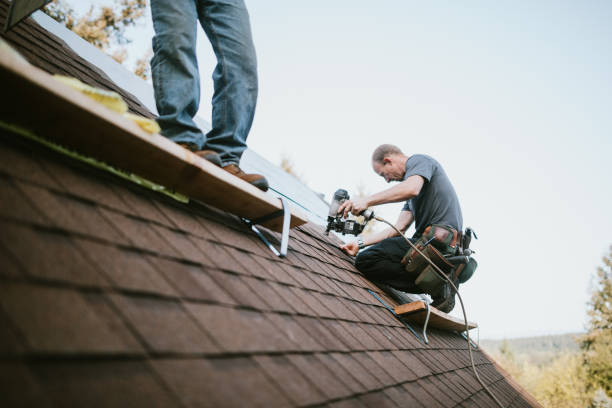 Best Roof Gutter Cleaning  in Hohenwald, TN